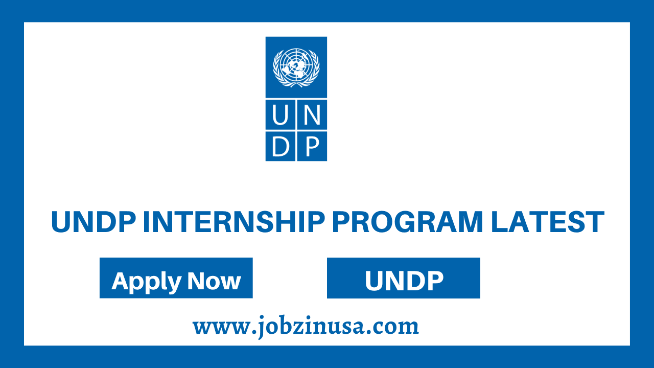 UNDP Internship